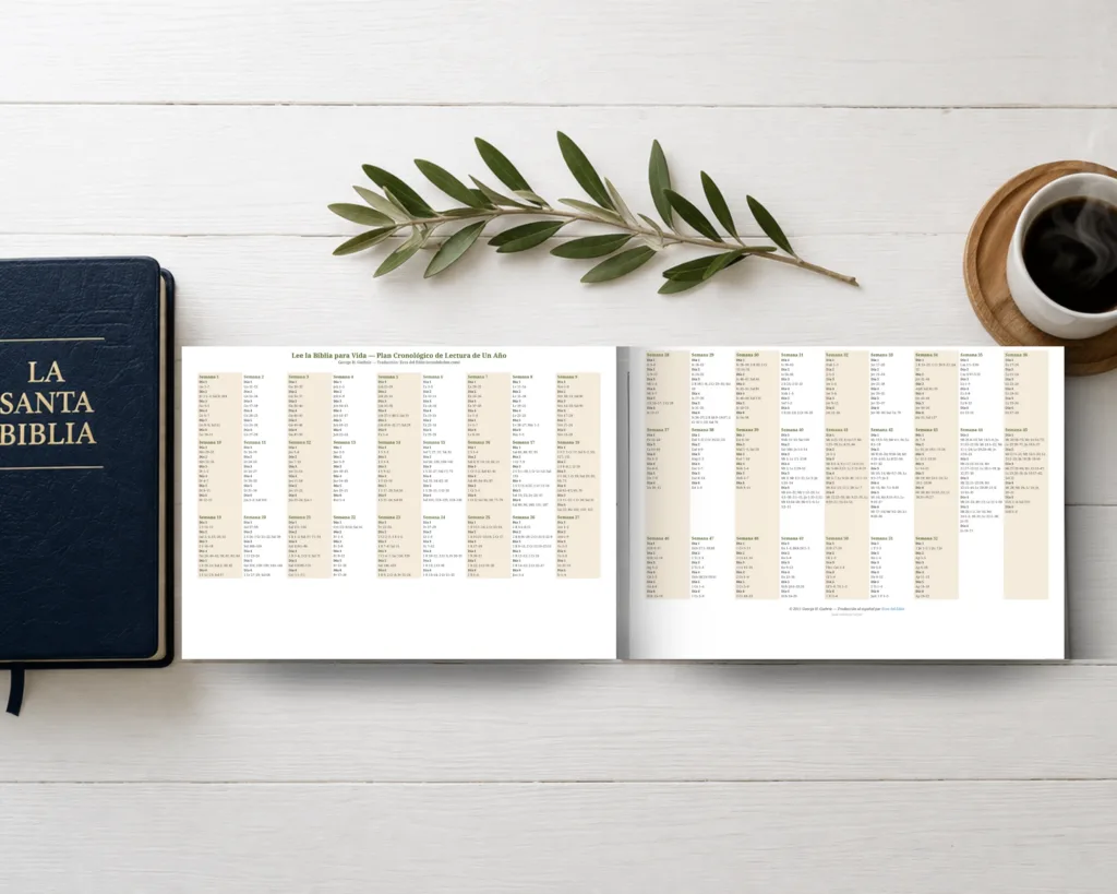 Mockup de plan de lectura bíblica cronológica de un año, abierto sobre un escritorio blanco con una Biblia azul, una rama de olivo y una taza de café.