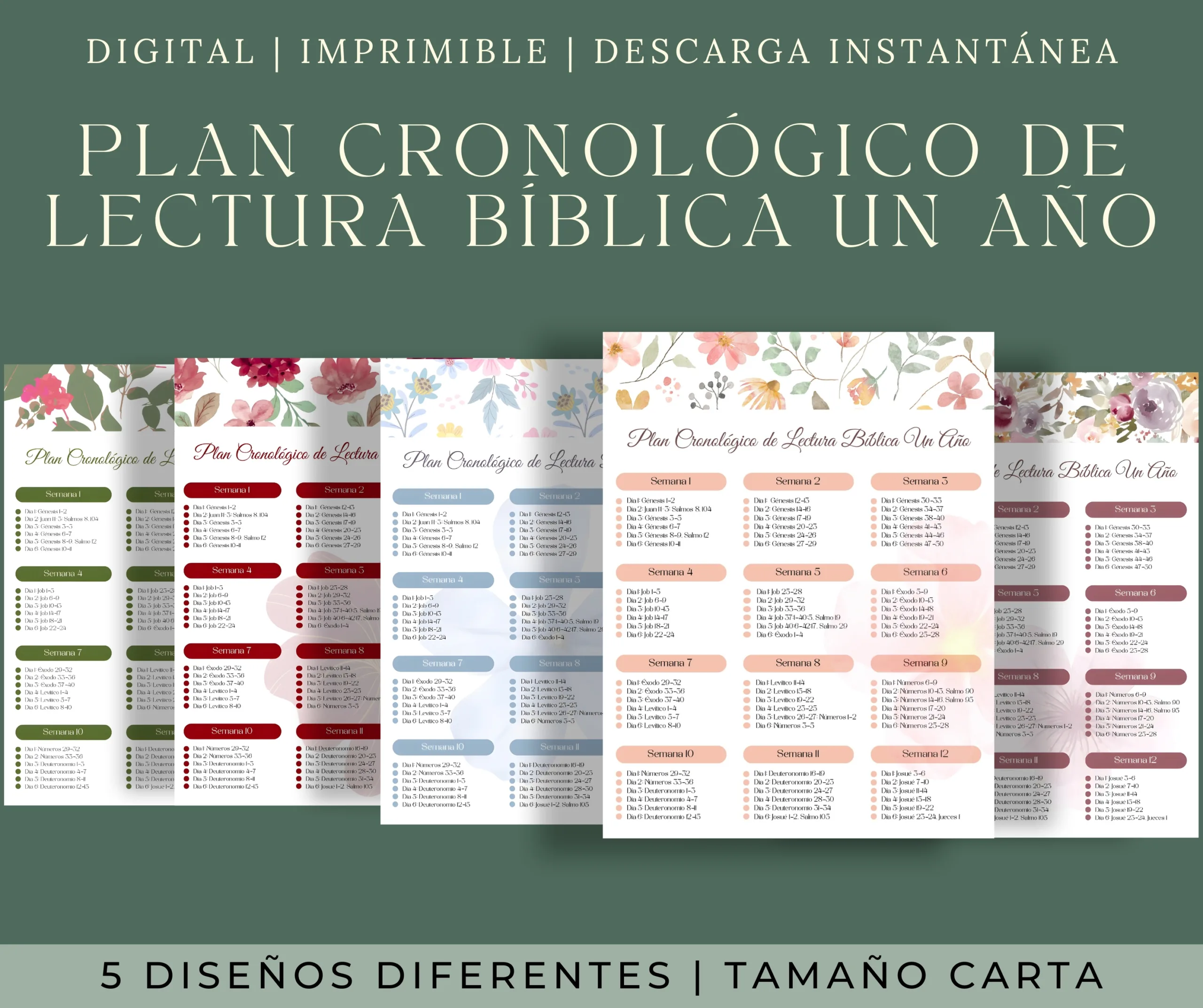 Plan de lectura bíblica cronológica en PDF en verde, vino, celeste, rosa y violeta. Imprimible en tamaño carta.